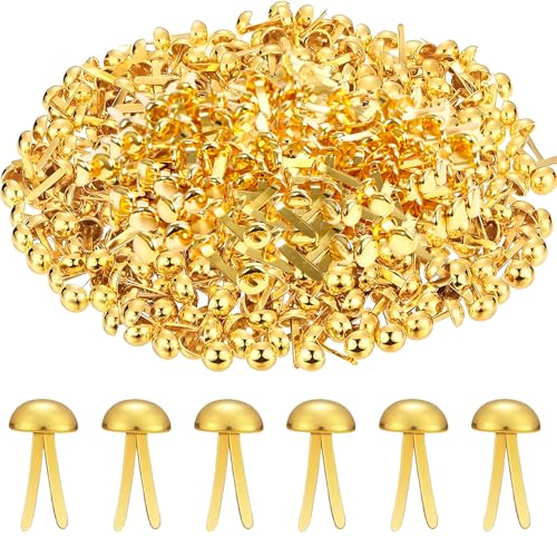 600 Stück Brads, Messingverschlüsse, Brads für Papierbastelarbeiten, Papierverschlüsse, Mini-Brads, Papierverschlüsse, Papierverschlüsse zum Basteln, für Papierbasteln, Scrapbooking, handgefertigte 600 Stück Brads, Messingverschlüsse, Brads für Papierbastelarbeiten, Papierverschlüsse, Mini-Brads, Papierverschlüsse, Papierverschlüsse zum Basteln, für Papierbasteln, Scrapbooking, handgefertigte von Gyinere