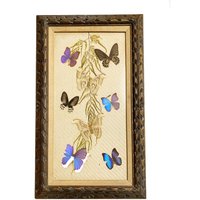 Mid-Century Modern Großes Gerahmte Schmetterling Kunstwerk von GypsyTradingPost