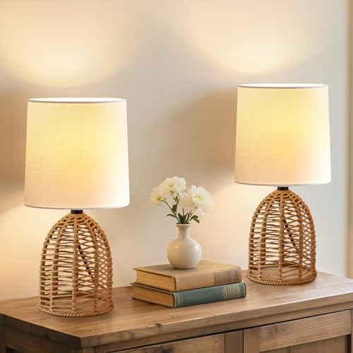 GyroVu 2er Set Nachttischlampe Rattan, Boho Tischlampe, E27 Fassung, Kleine Lampen für Räume Schlafzimmer Nachttisch Tischleuchte Wohnzimmer Lesepult Beistelltischlampe GyroVu 2er Set Nachttischlampe Rattan, Boho Tischlampe, E27 Fassung, Kleine Lampen für Räume Schlafzimmer Nachttisch Tischleuchte Wohnzimmer Lesepult Beistelltischlampe von GyroVu