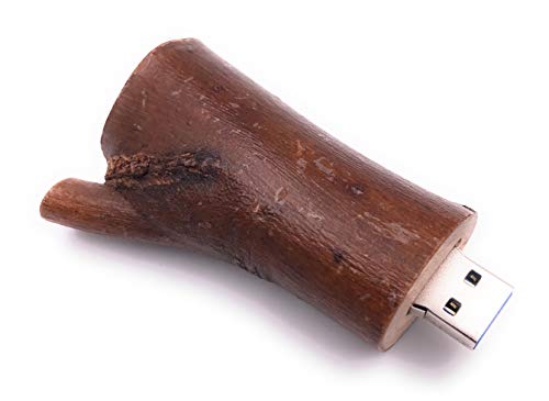 H-Customs Baum Stamm AST Zweig einzigartiger USB Stick 16GB USB 2.0 von H-Customs