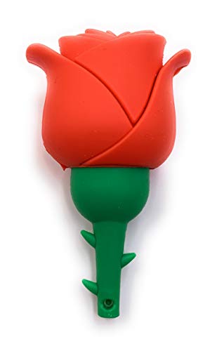 H-Customs Rote Rose Blume der Liebe einzigartiger USB Stick 16 GB USB 3.0 von H-Customs