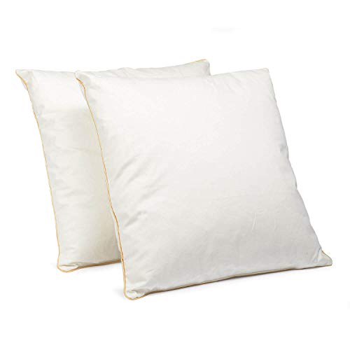 H&F Heimtextilien 2er Set Federkissen 40x40 cm | 300g Kissenfülung 100% Federn | Kissen mit OekoTex Zertifikat | Bezug 100% Baumwolle H&F Heimtextilien 2er Set Federkissen 40x40 cm | 300g Kissenfülung 100% Federn | Kissen mit OekoTex Zertifikat | Bezug 100% Baumwolle von H&F Heimtextilien