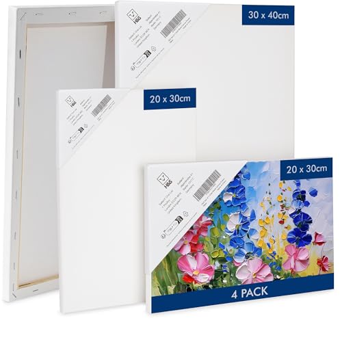 H&S 4x Leinwand zum Bemalen - 2 große (30x40cm) + 2 kleine Leinwände (20x30cm) - Keilrahmen Canvas zum Bemalen - Ideal für Acrylfarben Canvas Painting von H&S