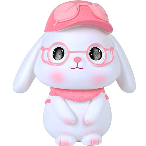 H&W Kaninchen Sparschwein,Niedliches Kaninchen Spardose mit Brille,Unzerbrechliche Explorer Hasen Münzbank,Kreative Sparbüchse,Bestes Geburtstagsgeschenk(Rosa) von H&W