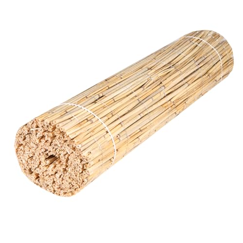 H4L Schilfmatte Sichtschutzmatte Schilfrohrmatte Natur Sichtschutz Windschutz Schilf 300x100cm von H4L