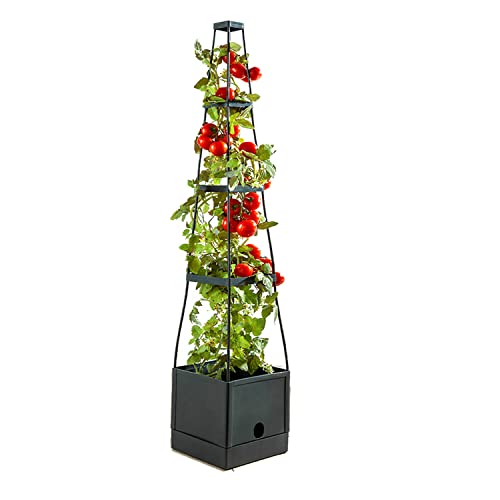 Tomaten-Rankhilfe Pflanztopf 152x25x25cmTomatenturm Aufzuchtturm Pflanzturm Pflanzgefäß mit Wasserspeicher von H4L