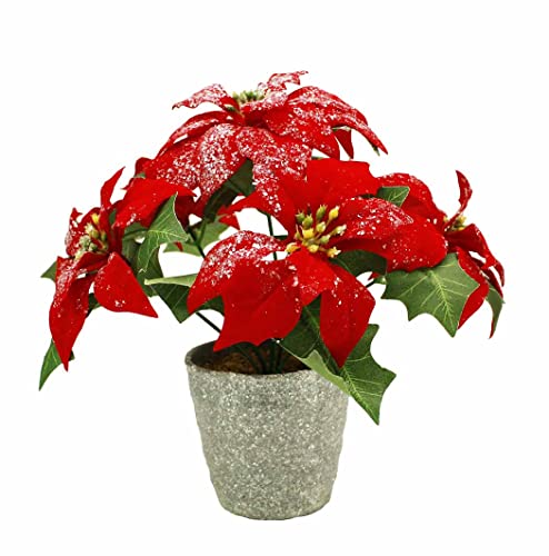 HAAC künstliche Weihnachtsstern im Topf mit 5 Blumen und Glittern Farbe rot Größe 22 cm für Weihnacht Weihnachten von HAAC