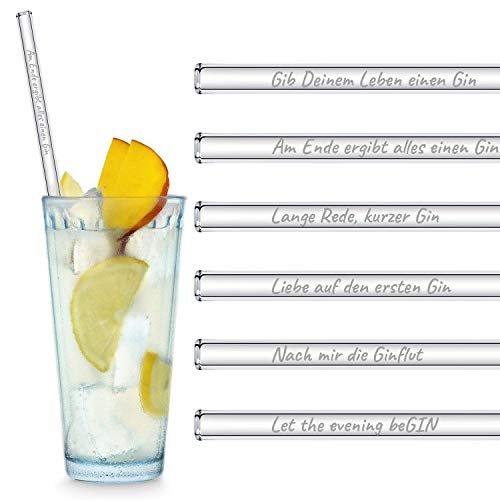 HALM Glasstrohhalme Gin Sprüche Edition 6X 23cm mit gravierten Gin-Sprüchen in Deutsch Strohhalm Trinkhalm Glasstrohalm Gin-Tonic Geschenk von HÅLM