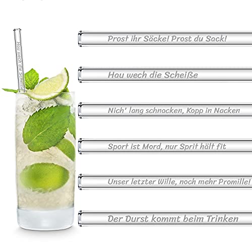 HALM Glasstrohhalme Sauf Sprüche Edition 6x 20cm mit gravierten Trinksprüchen in Deutsch Strohhalm Trinkhalm Glasstrohalm Gin-Tonic Geschenk von HÅLM