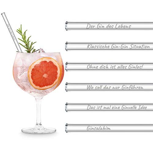 HALM Original Glas Strohhalme Gin Sprüche | Gin des Lebens Edition | 6x 20cm mit gravierten Gin Gläser Sprüchen | Glasstrohalme Gin Geschenkset für Gin Tonic Gläser | Trinkhalme Glas Geschenk von HÅLM
