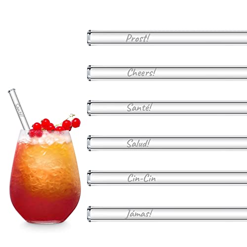 HALM Glasstrohhalme 6x 15 cm kurz International Anstoßen Edition Glastrinkhalme „Prost“ in 6 verschiedenen Sprachen von HÅLM
