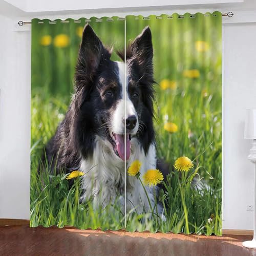 HABEAT 3D Border Collie Vorhänge Abdunkelnde Blumen Kindervorhänge Vorhang mit ösen 2er Set Gardinen Blickdicht Verdunkelungs für Kinderzimmer Schlafzimmer Wohnzimmer B 110 X H 95 cm（Motiv 11-7） von HABEAT