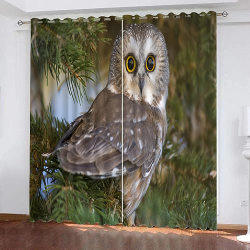 HABEAT 3D Eule Vorhänge Abdunkelnde Eule Kindervorhänge Vorhang mit ösen 2er Set Gardinen Blickdicht Verdunkelungs für Kinderzimmer Schlafzimmer Wohnzimmer B 110 X H 95 cm（Motiv 5-1） von HABEAT