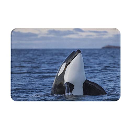 HABXNJF Flanell Badezimmermatte, Killer Whales Orca Badematte, rutschfeste saugfähige Matten für Badezimmerboden 40 x 60 cm von HABXNJF