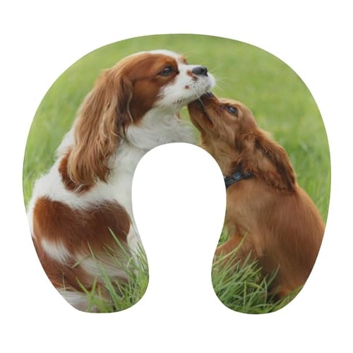 HABXNJF Memory Foam U-förmiges Reise-Nackenkissen, Cavalier King Charles Spaniel Reisekissen, Nackenkissen für Reisen, Auto, Büro von HABXNJF