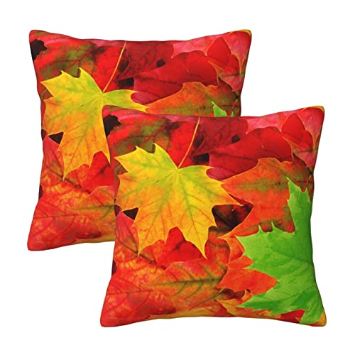 HABXNJF Quadratischer Kissenbezug, Herbstblätter, Kissenbezüge, 45 cm x 45 cm, 2 Stück von HABXNJF