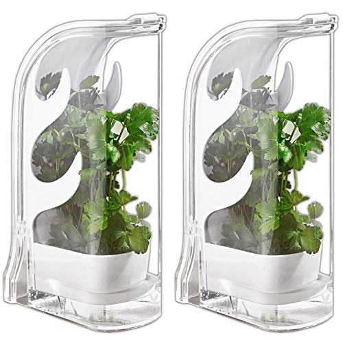 HAC24 2er Set Kräuter Frischhaltebox Kunststoff Schnittkräuterbox Kräutercontainer Kräuterbox Küche Kräuterdose Kräuteraufbewahrung Kühlschrank von HAC24