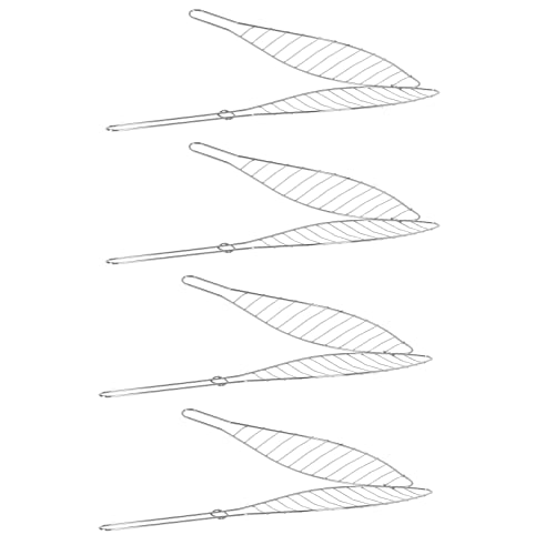 HAC24 4X Edelstahl BBQ Fischbräter 42 x 9 cm Fischgriller Fischzange Fischhalter Fischgitter Fischwender Fisch Mais Grillkorb von HAC24