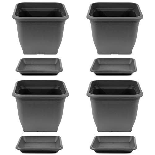 HAC24 4X Pflanztopf 40 x 40 cm Kunststoff incl. Untersetzer Eckig Anthrazit Pflanzkübel Pflanzuntersetzer Blumentopf Blumenkübel Pflanzcontainer von HAC24