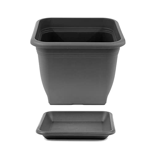 HAC24 Pflanztopf 40 x 40 cm Kunststoff incl. Untersetzer Eckig Anthrazit Pflanzkübel Pflanzuntersetzer Blumentopf Blumenkübel Pflanzcontainer von HAC24