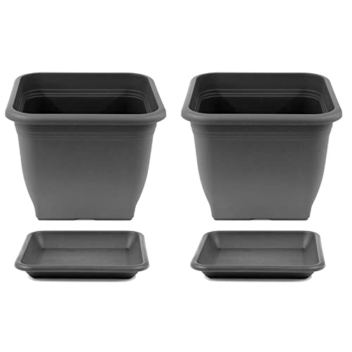 HAC24 Pflanztopf 33 x 33 cm Kunststoff incl. Untersetzer Eckig Anthrazit Pflanzkübel Pflanzuntersetzer Blumentopf Blumenkübel Pflanzcontainer (2) von HAC24