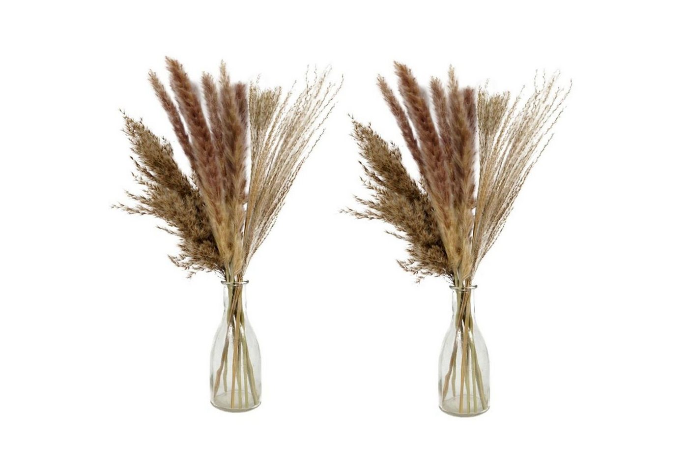 Trockenblume Deko Bündel Pampasgras Ziergras Pampas Gras, HAC24, Höhe 50 cm, Getrocknet in Glasvase von HAC24