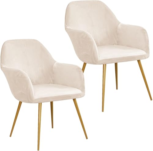 Esszimmerstuhlhussen aus Samt, gebogene Rückenlehne, Stretch-Akzent-Stuhlhussen, weich, mit elastischer Unterseite, waschbar, abnehmbar, für Esszimmerstühle, Beige, 2 Stück Esszimmerstuhlhussen aus Samt, gebogene Rückenlehne, Stretch-Akzent-Stuhlhussen, weich, mit elastischer Unterseite, waschbar, abnehmbar, für Esszimmerstühle, Beige, 2 Stück von HACLEN