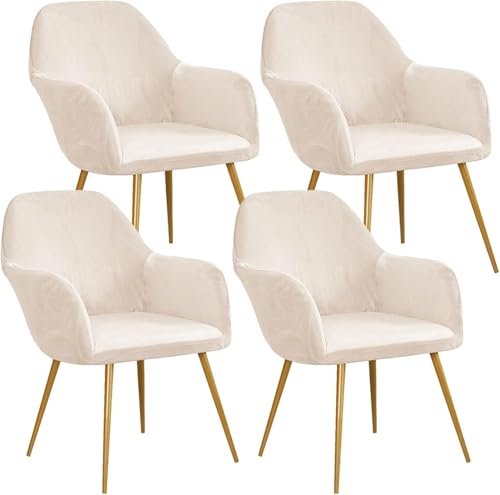 Esszimmerstuhlhussen aus Samt, gebogene Rückenlehne, Stretch-Akzent-Stuhlhussen, weich, mit elastischer Unterseite, waschbar, abnehmbar, für Esszimmerstühle, Beige, 4 Stück Esszimmerstuhlhussen aus Samt, gebogene Rückenlehne, Stretch-Akzent-Stuhlhussen, weich, mit elastischer Unterseite, waschbar, abnehmbar, für Esszimmerstühle, Beige, 4 Stück von HACLEN