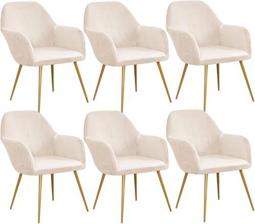 Esszimmerstuhlhussen aus Samt, gebogene Rückenlehne, Stretch-Akzent-Stuhlhussen, weich, mit elastischer Unterseite, waschbar, abnehmbar, für Esszimmerstühle, Beige, 6 Stück Esszimmerstuhlhussen aus Samt, gebogene Rückenlehne, Stretch-Akzent-Stuhlhussen, weich, mit elastischer Unterseite, waschbar, abnehmbar, für Esszimmerstühle, Beige, 6 Stück von HACLEN