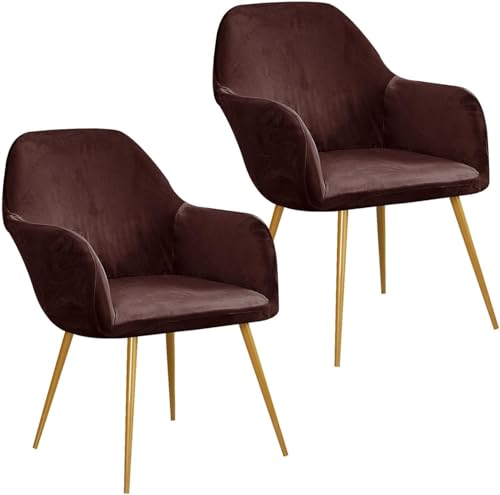 Esszimmerstuhlhussen aus Samt, gebogene Rückenlehne, Stretch-Akzent-Stuhlhussen, weich, mit elastischer Unterseite, waschbar, abnehmbar, für Esszimmerstühle, Braun, 2 Stück Esszimmerstuhlhussen aus Samt, gebogene Rückenlehne, Stretch-Akzent-Stuhlhussen, weich, mit elastischer Unterseite, waschbar, abnehmbar, für Esszimmerstühle, Braun, 2 Stück von HACLEN