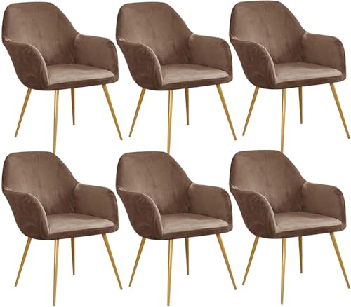 Esszimmerstuhlhussen aus Samt, gebogene Rückenlehne, Stretch-Akzent-Stuhlhussen, weich, mit elastischer Unterseite, waschbar, abnehmbar, für Esszimmerstühle, Kaffee, 6 Stück Esszimmerstuhlhussen aus Samt, gebogene Rückenlehne, Stretch-Akzent-Stuhlhussen, weich, mit elastischer Unterseite, waschbar, abnehmbar, für Esszimmerstühle, Kaffee, 6 Stück von HACLEN