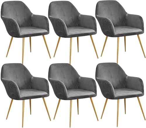 Esszimmerstuhlhussen aus Samt, gebogene Rückenlehne, Stretch-Akzent-Stuhlhussen, weich, mit elastischer Unterseite, waschbar, abnehmbar, für Esszimmerstühle (grau, 6er-Set) von HACLEN