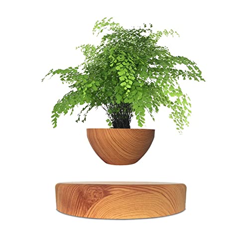 HACLEN Schwebender Blumentopf, Magnetschwebeluft Bonsai Pot, Moderne Desktop Pflanzer Drehbare Blumentopf Pflanz Suspension Schwimmdock Pot, Einzigartiges Kreatives Geschenk-dunkler Kaffee von HACLEN