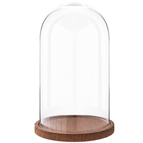 HAES DECO - Dekorative Glasglocke mit braunem Holzsockel - Glaskuppel Durchmesser 16 cm und Höhe 28 cm - Dekorative Glashaube als Tischdeko - Transparent Glasglocke - ST019461 von HAES DECO