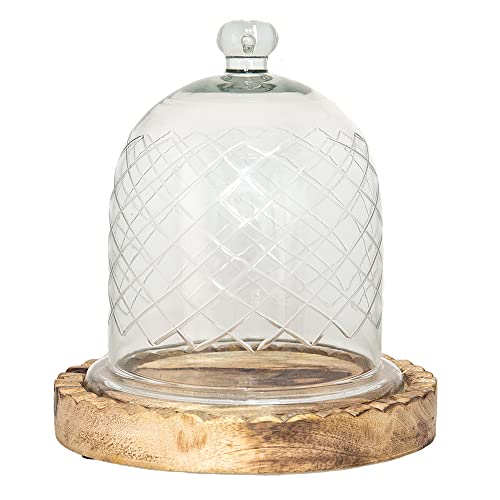 HAES DECO - Dekorative Glasglocke mit braunem Holzsockel - Glaskuppel Durchmesser 22 cm und Höhe 25 cm - Dekorative Glashaube als Tischdeko - Transparent Glasglocke - ST6GL3532HS von HAES DECO