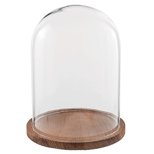 HAES DECO - Dekorative Glasglocke mit braunem Holzsockel - Glaskuppel Durchmesser 23 cm und Höhe 29 cm - Dekorative Glashaube als Tischdeko - Transparent Glasglocke - ST021661 von HAES DECO