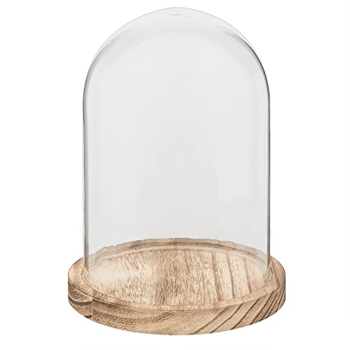 HAES DECO - Dekorative Glasglocke mit hellbraunem Holzsockel, Glaskuppel Durchmesser 12 cm und Höhe 17 cm - Dekorative Glashaube als Tischdeko - Transparent Glasglocke - ST021681 von HAES DECO