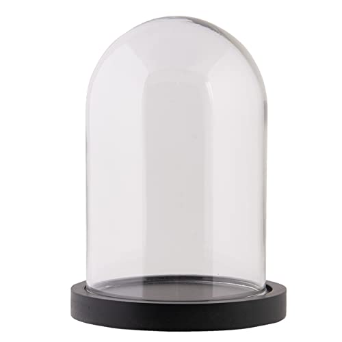 HAES DECO - Dekorative Glasglocke mit schwarzem Holzsockel - Glaskuppel Durchmesser 12 cm und Höhe 17 cm - Dekorative Glashaube als Tischdeko - Transparent Glasglocke - ST02168Z von HAES DECO