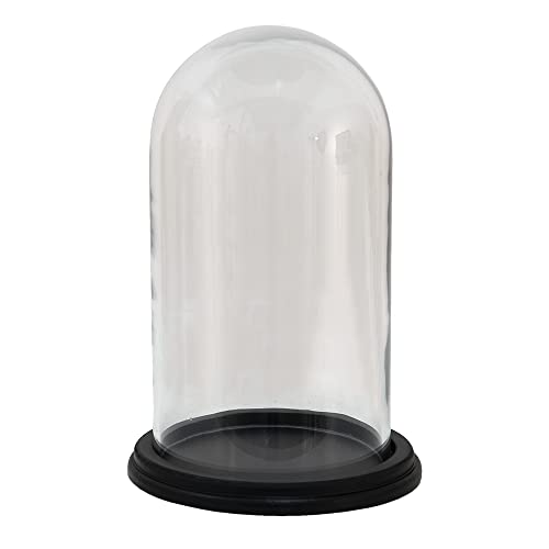 HAES DECO - Dekorative Glasglocke mit schwarzem Holzsockel - Glaskuppel Durchmesser 23 cm und Höhe 23 cm - Dekorative Glashaube als Tischdeko - Transparent Glasglocke - ST034781 von HAES DECO