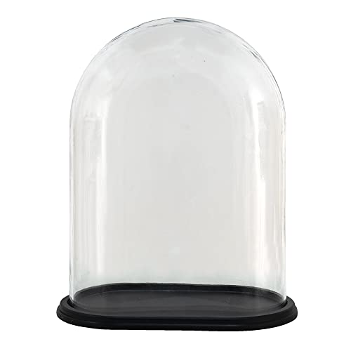 HAES DECO - Dekorative Glasglocke mit schwarzem Holzsockel - Glaskuppel Oval 34 x 20 cm und Höhe 40 cm - Dekorative Glashaube als Tischdeko - Transparent Glasglocke - ST034801 von HAES DECO