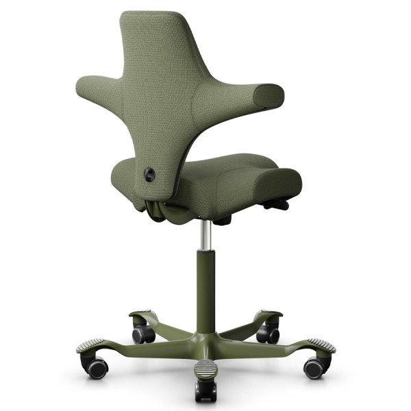 HAG CAPISCO 8106 | Designstoff Sirdal grün | Gestell Moss grey von HAG