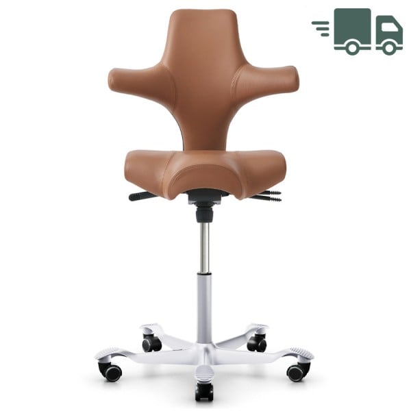 HAG CAPISCO 8106 | Stehhilfe | Leder Paloma Sonderfarbe natur | Gestell silber HAG CAPISCO 8106 | Stehhilfe | Leder Paloma Sonderfarbe natur | Gestell silber von HAG