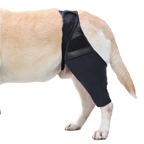 HAGJII Recovery Sleeve Hund Für Hundeellbogen Und Schulterstütze Ellbogenhygrom, Ellenbogenbandage Hund Lindert Arthritis Reduziert Bietet Unterstützung Hundebeinschutz(S) von HAGJII