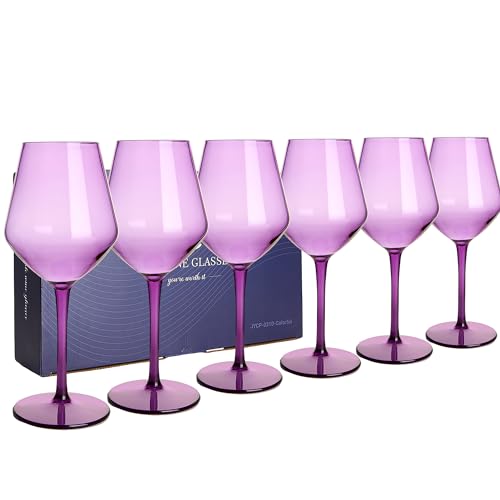 HAHASHOW Unzerbrechliches Camping Weingläser Bunt, 6 Stück 440ml Tritan Kunststoff Weingläser Set Schwimmende für den Pool Party, Violett von HAHASHOW