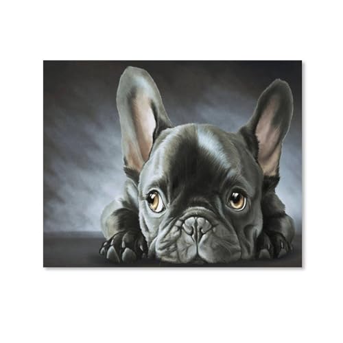 HAIDU 5D Diy Diamond Painting Kit Schwarze Französische Bulldogge Diamond Painting Kunsthandwerk für Zuhause Wanddekoration Full Kit（Round Diamond） 40x50cm-9 von HAIDU