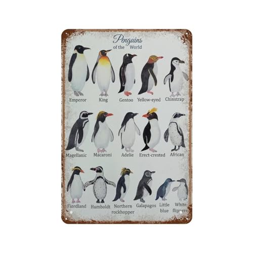 HAIDU Arten von Pinguinen, Königspinguin，Metall-Blechschild, Vintage-Stil, Eisenmalerei für Zuhause, Schlafzimmer, Café, Küche, Poster, Kaffee, Bar, Pub(20 x 30 cm) 8 x 12 Zoll-E37 von HAIDU