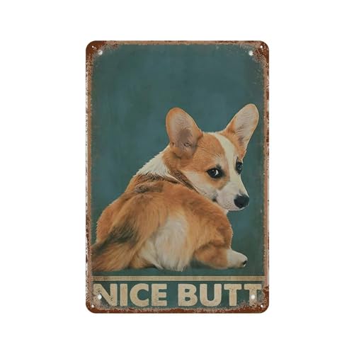 HAIDU Nice Butt Funny Corgi,Dog，Bar Retro Wanddekoration Poster Home Club Taverne Wand Dekor Aluminium Schild(20 x 30 cm) 8 x 12 Zoll-F26 von HAIDU