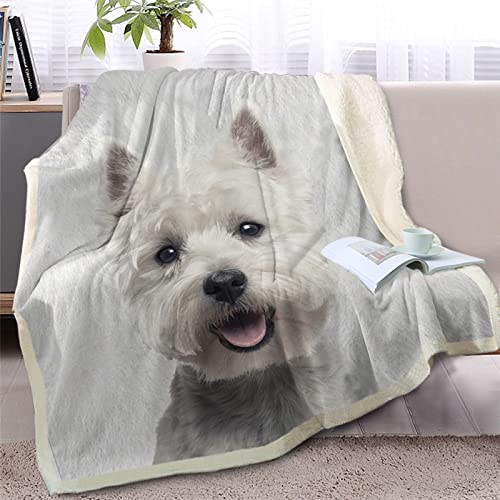 WeißEr West Highland White Terrier Flauschig Kuscheldecke 150x200cm,3D Wohndecke Warm Weiche Schmusedecke Waschbar Kinder Erwachsene - Für Wohnzimmer, Schlafzimmer, Camping, Picknick von HAIKUO