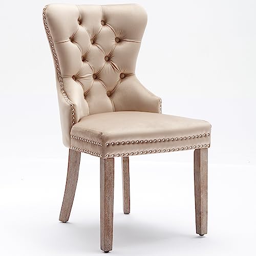 4 St Esszimmerstühle Küchenstuhl Polsterstuhl mit hoher Rückenlehne und Nagelkopfbesatz, Samt gepolsterte Sitzfläche, Beine aus Massivholz, Wohnzimmerstuhl mit Türklopfer auf der Rückseite (Beige) von HAINEW