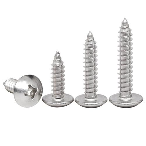 HAISHANG 20 Stück Holzschrauben Blechschrauben M4x12mm Selbstschneidende Kreuzschlitz Rundkopf Edelstahl Nägel Linsenkopf Silber Schrauben von HAISHANG